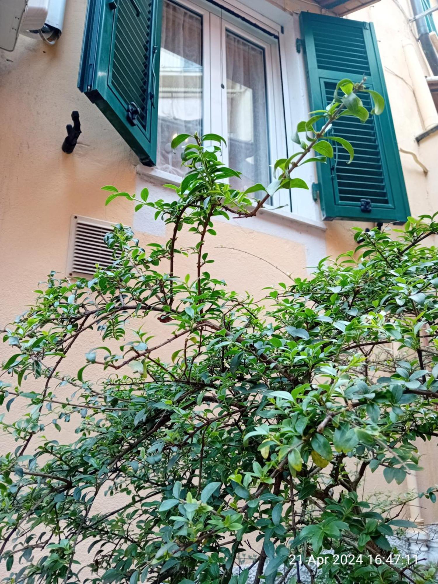 Appartamento Il Vicolo La Spezia Cinque Terre Dış mekan fotoğraf