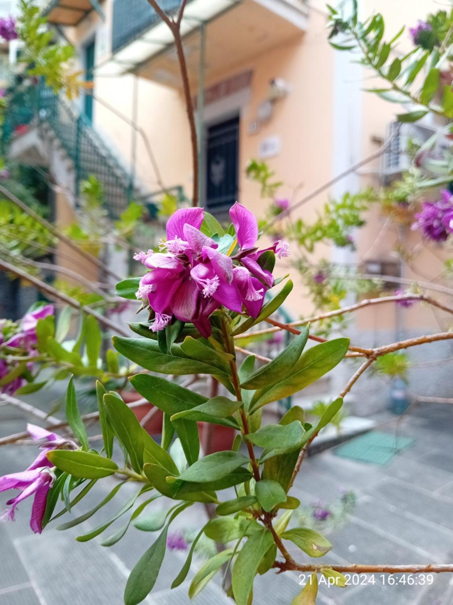Appartamento Il Vicolo La Spezia Cinque Terre Dış mekan fotoğraf